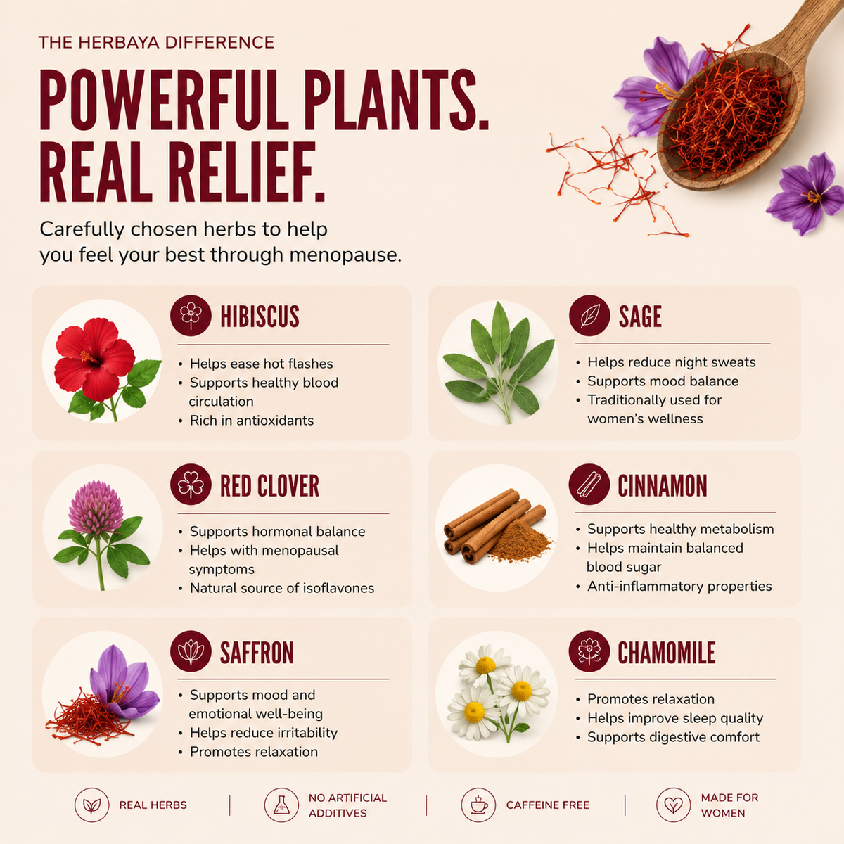 Menopause support tea